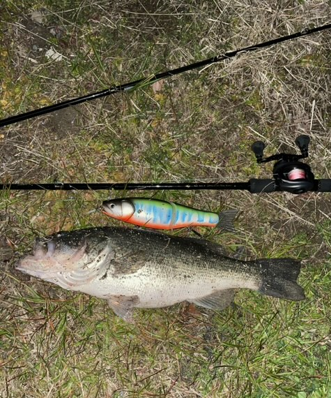 Mother - RomanMade【ロマンメイド】 